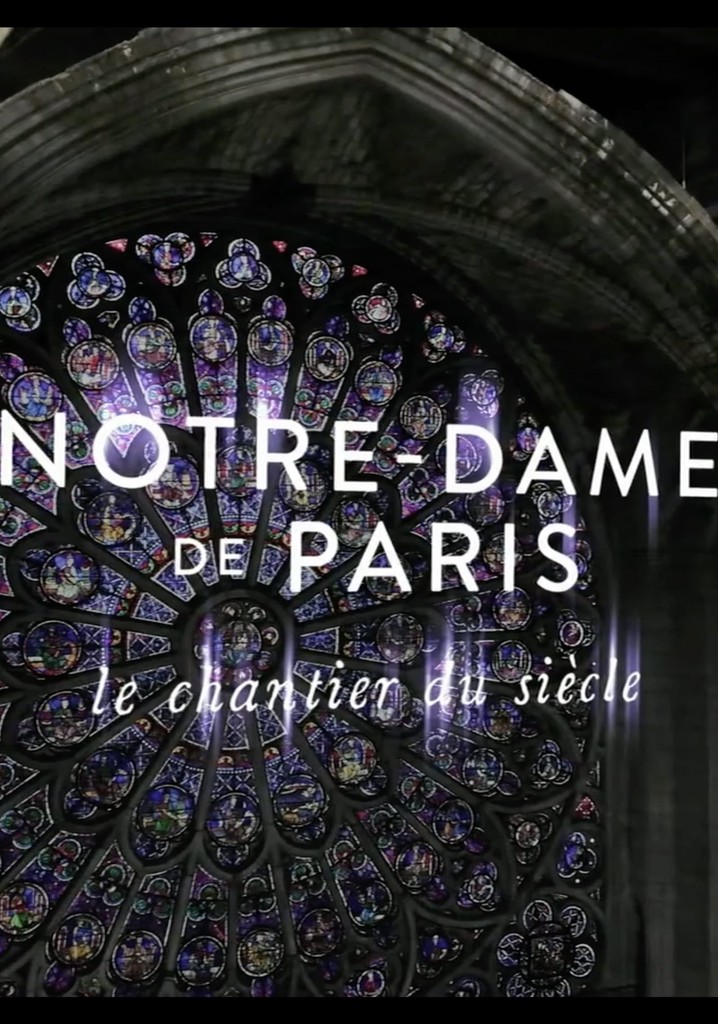 Notre-Dame de Paris, le chantier du siècle