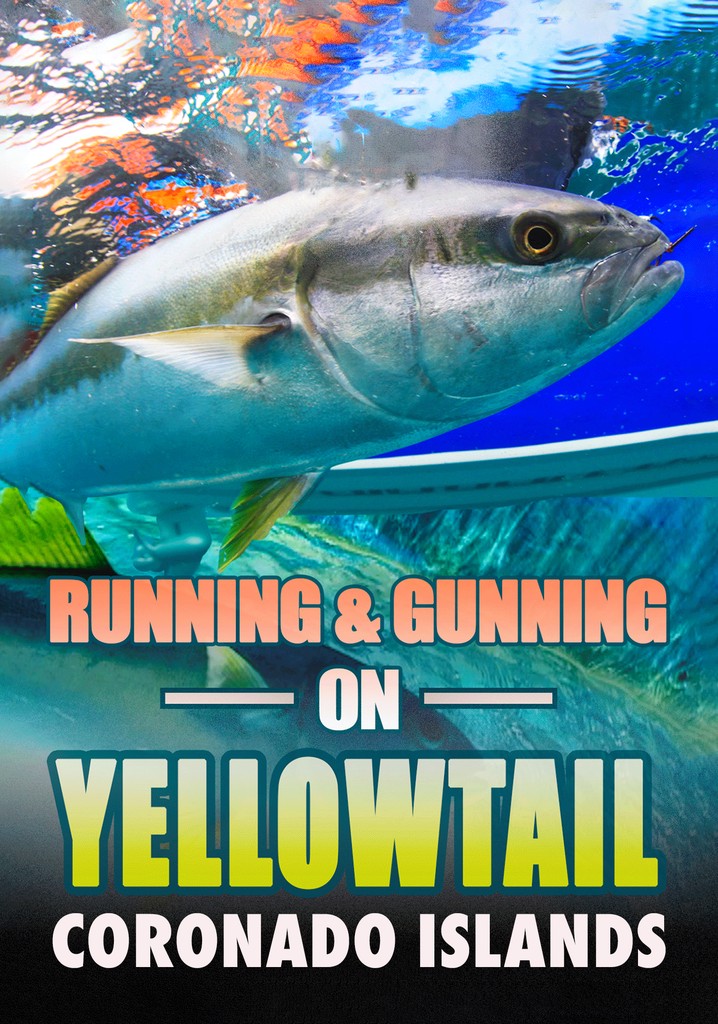 Yellowtail Fishing Coronado Islands