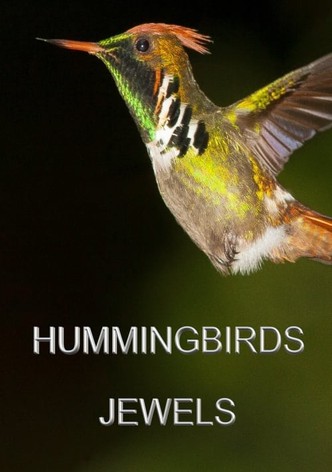Hummingbirds Jewels