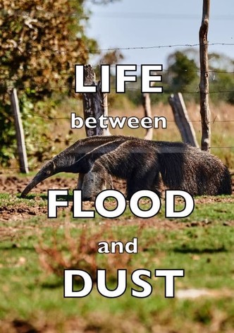 Life between Flood and Dust