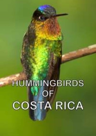 Hummingbirds of Costa Rica