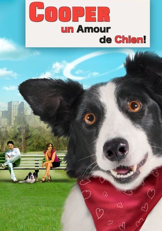 Cooper, un amour de chien