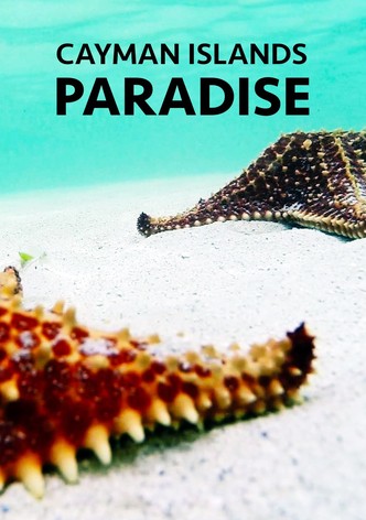Cayman Islands: Paradise