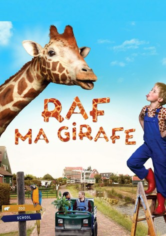 Raf, ma girafe