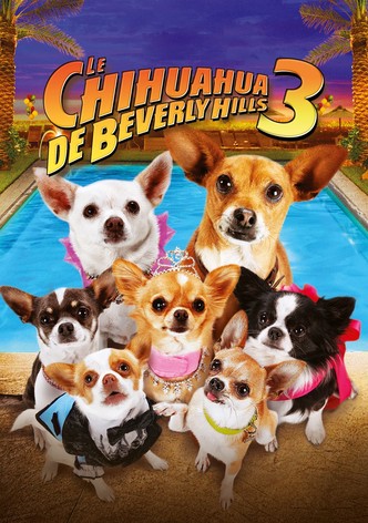 Le Chihuahua de Beverly Hills 3 : Viva la Fiesta !