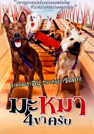 มะหมา 4 ขาครับ