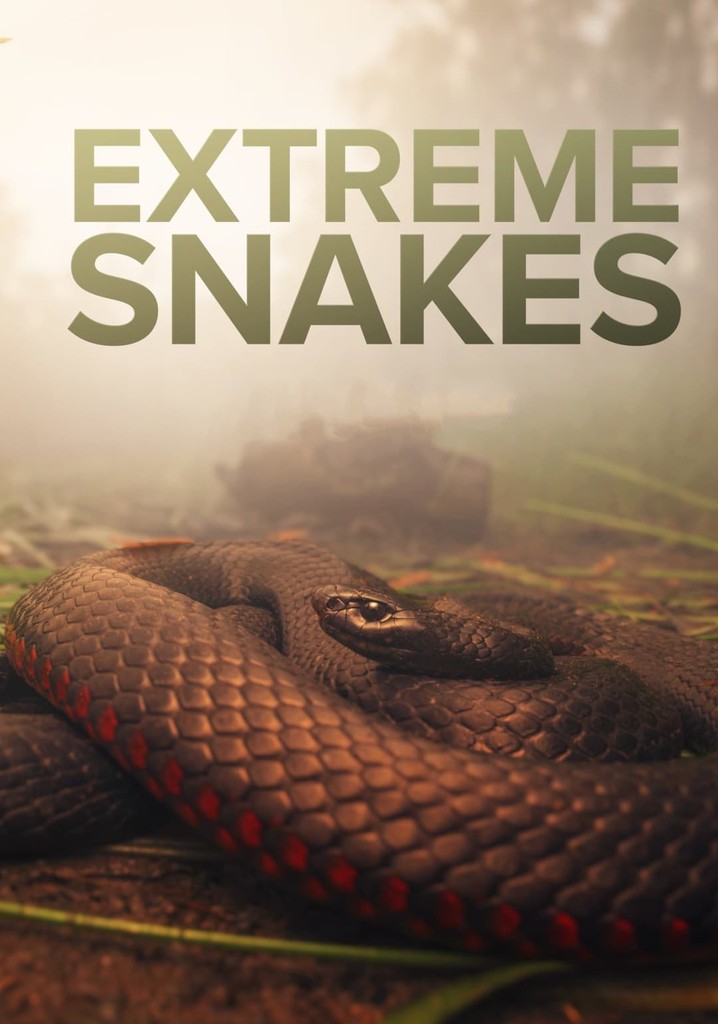 Extreme Snakes - streaming tv show online image.