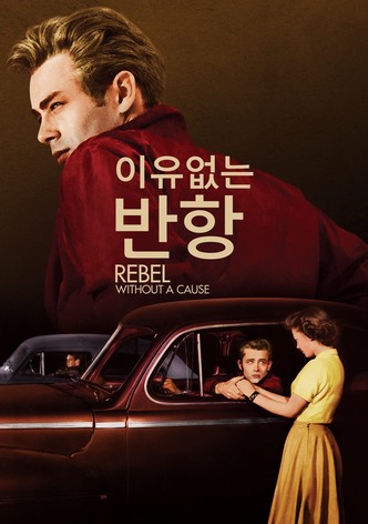 이유 없는 반항