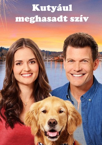 Kutyául meghasadt szív