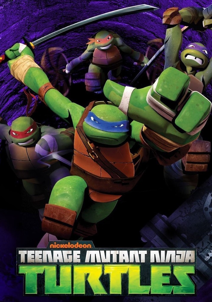 Teenage Mutant Ninja Turtles - Season 5 - TV Series