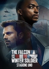 The Falcon and The Winter Soldier
