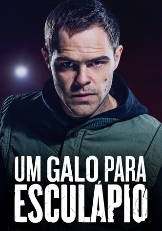UM GALO PARA ESCULÁPIO