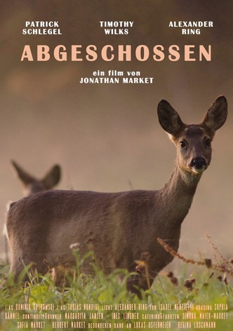 Abgeschossen