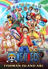 One Piece - Kausi 14