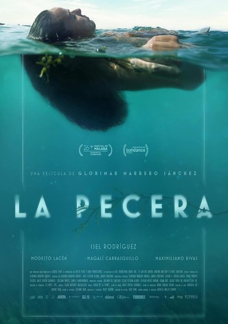 La pecera