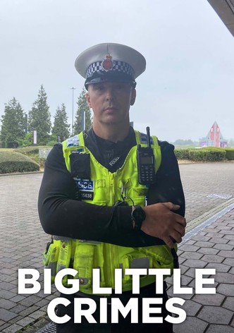 Big Little Crimes