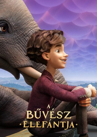 A bűvész elefántja