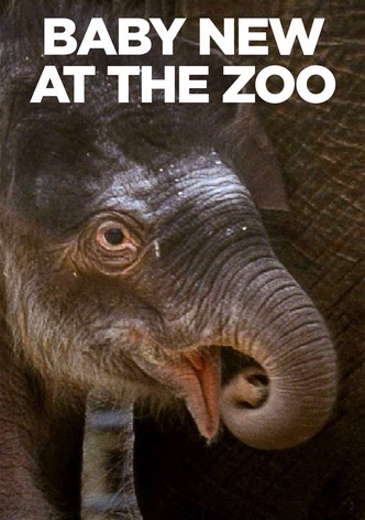 Baby New at the Zoo