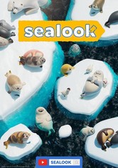 SEALOOK