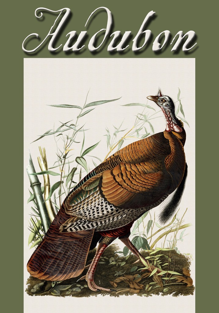 Audubon