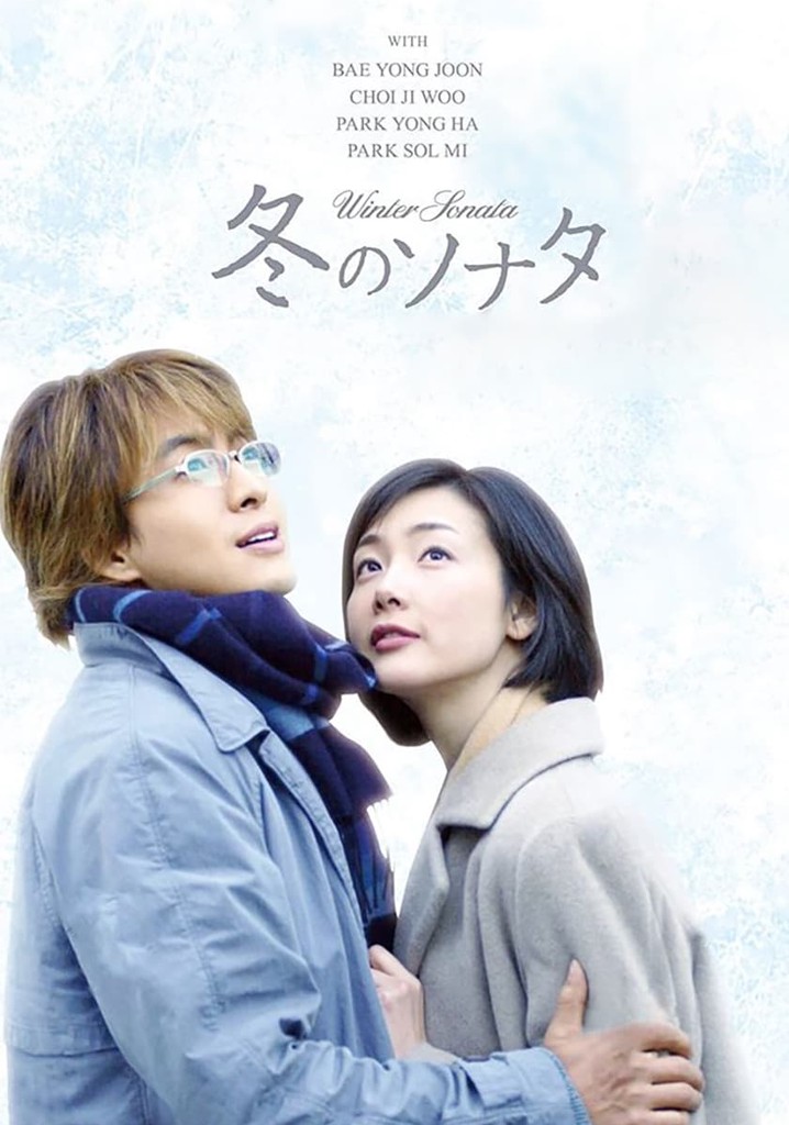 Winter Sonata TV ドラマ 動画配信 視聴