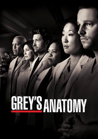 Series online deals greys anatomy