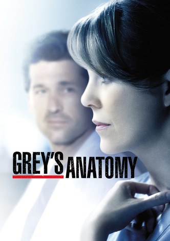 Greys anatomy discount online season 5