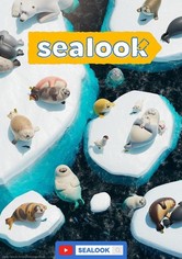 SEALOOK