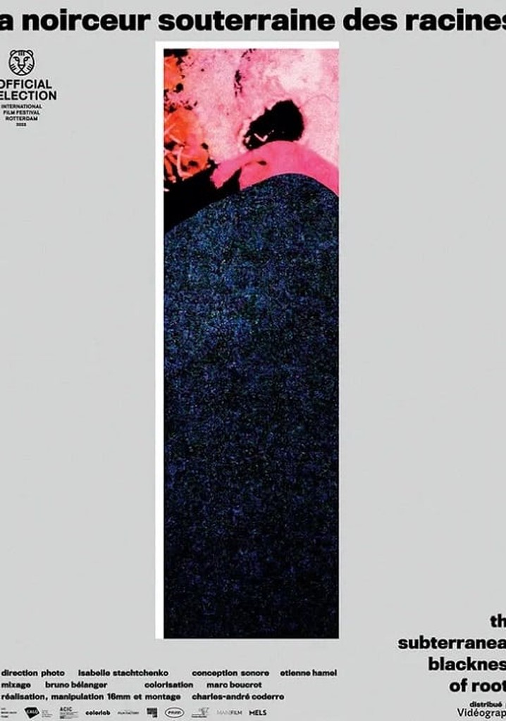 La noirceur souterraine des racines
