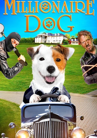 Pancho, a milliomos kutya