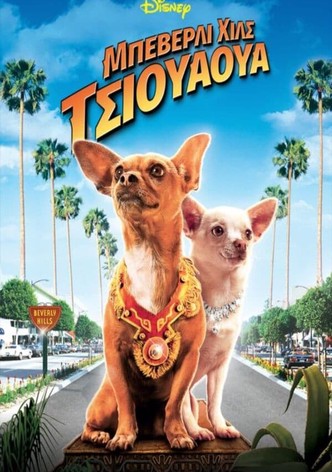 Μπέβερλι Χιλς Τσιουάουα