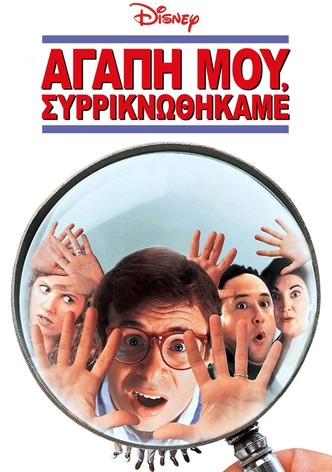 Αγάπη μου, Συρρικνωθήκαμε