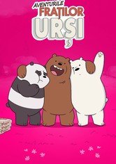 Aventurile fratilor ursi