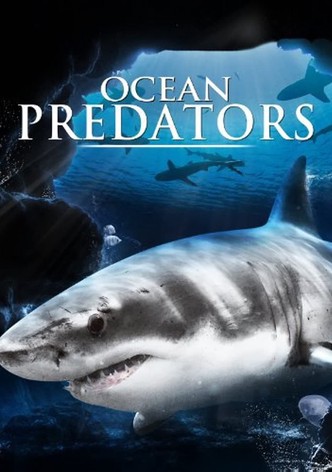 Ocean Predators