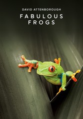 Fabulous Frogs