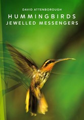 Hummingbirds: Jewelled Messengers