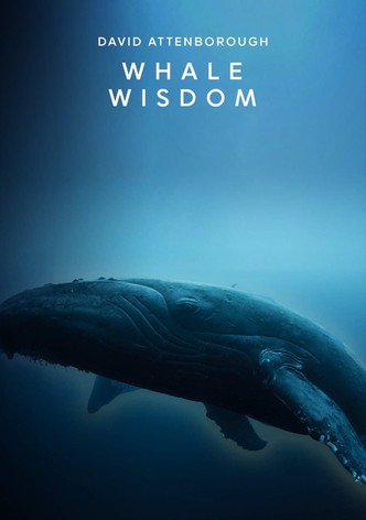 Whale Wisdom