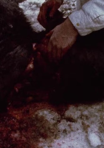 Straits of Magellan: Pans 0–4 and 697–700