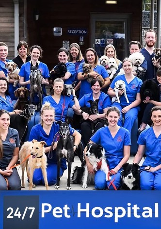 24/7 Pet Hospital
