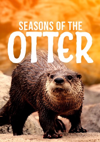 Seasons of the Otter