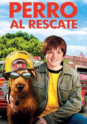 Perro al rescate