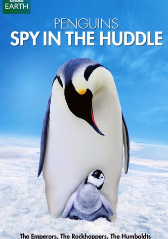 Penguins: Spy in the Huddle