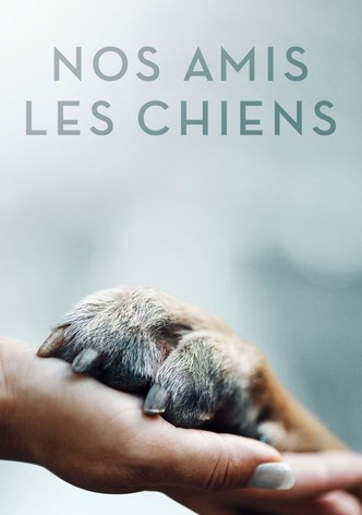 Nos amis les chiens