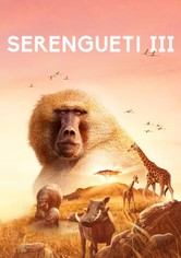 Serengueti