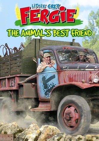 Little Grey Fergie: The Animal’s Best Friend