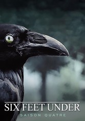 Six pieds sous terre