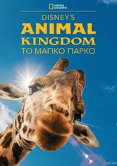Disney's Animal Kingdom: Το Μαγικό Πάρκο - 2ος κύκλος