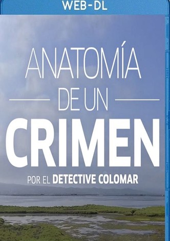 Anatomía de un crimen