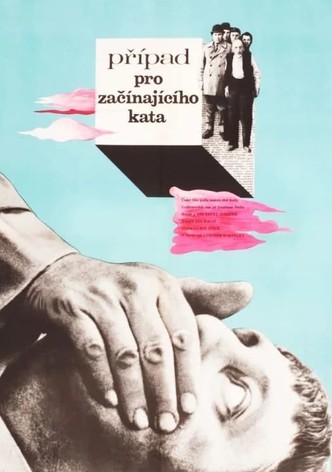 Případ pro začínajícího kata