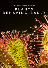 Plants Behaving Badly - Season 1